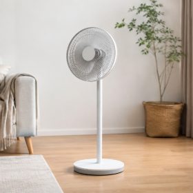 Quạt cây là gì? Cấu tạo, ưu nhược điểm và cách chọn phù hợp
