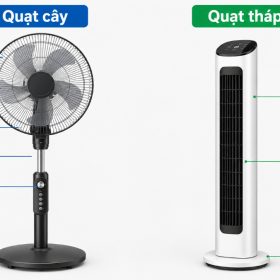 So sánh quạt tháp và quạt cây: Loại nào phù hợp hơn?